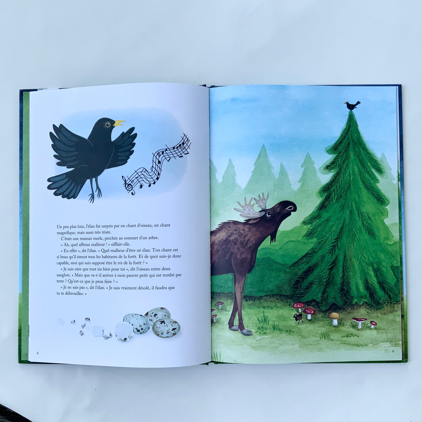 Le Roi élan Librairie jeunesse le Zèbre à pois livre jeunesse, livre enfant, librairie jeunesse, librairie en ligne Librairie jeunesse le Zèbre à pois