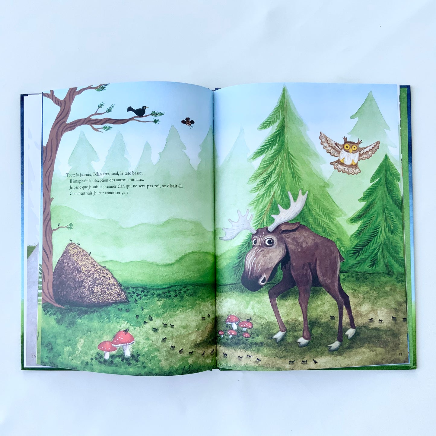 Le Roi élan Librairie jeunesse le Zèbre à pois livre jeunesse, livre enfant, librairie jeunesse, librairie en ligne Librairie jeunesse le Zèbre à pois