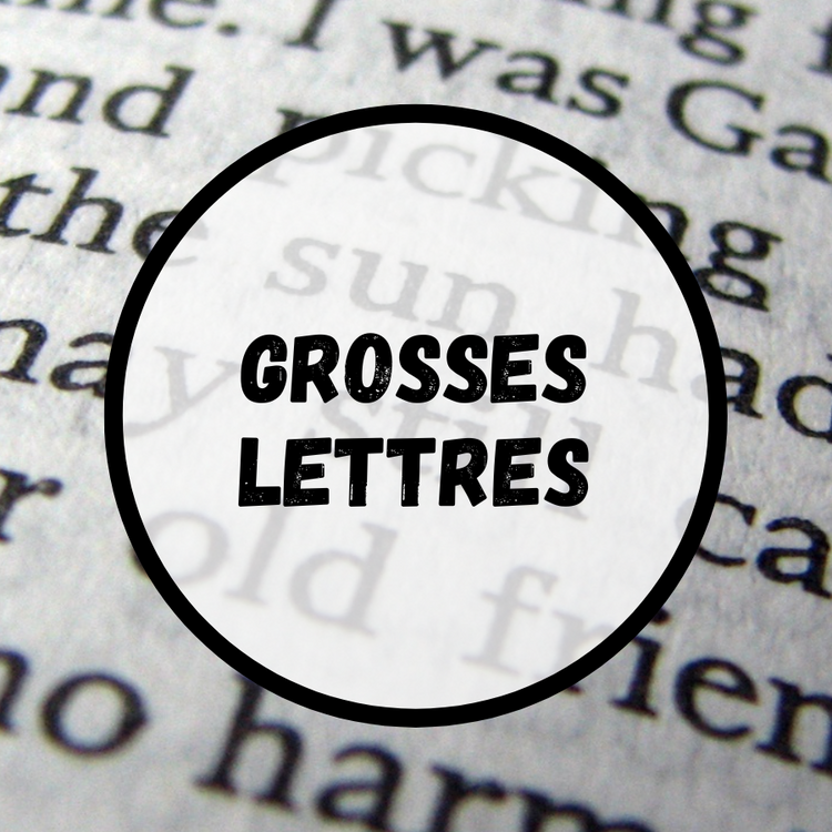 Livre grosses lettres, livre grand caractères