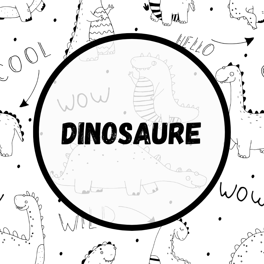 Livre de dinosaure, livres de dinosaures