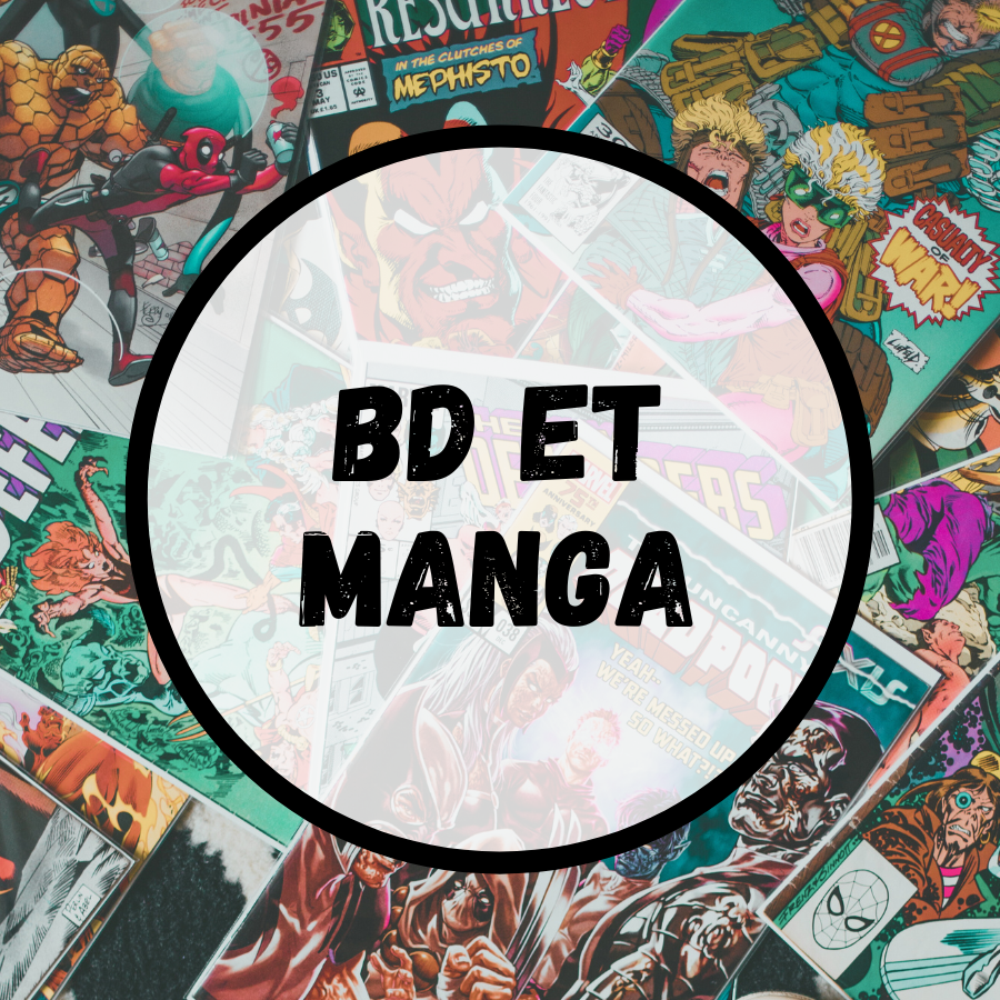 Bd et manga usagés pour adultes