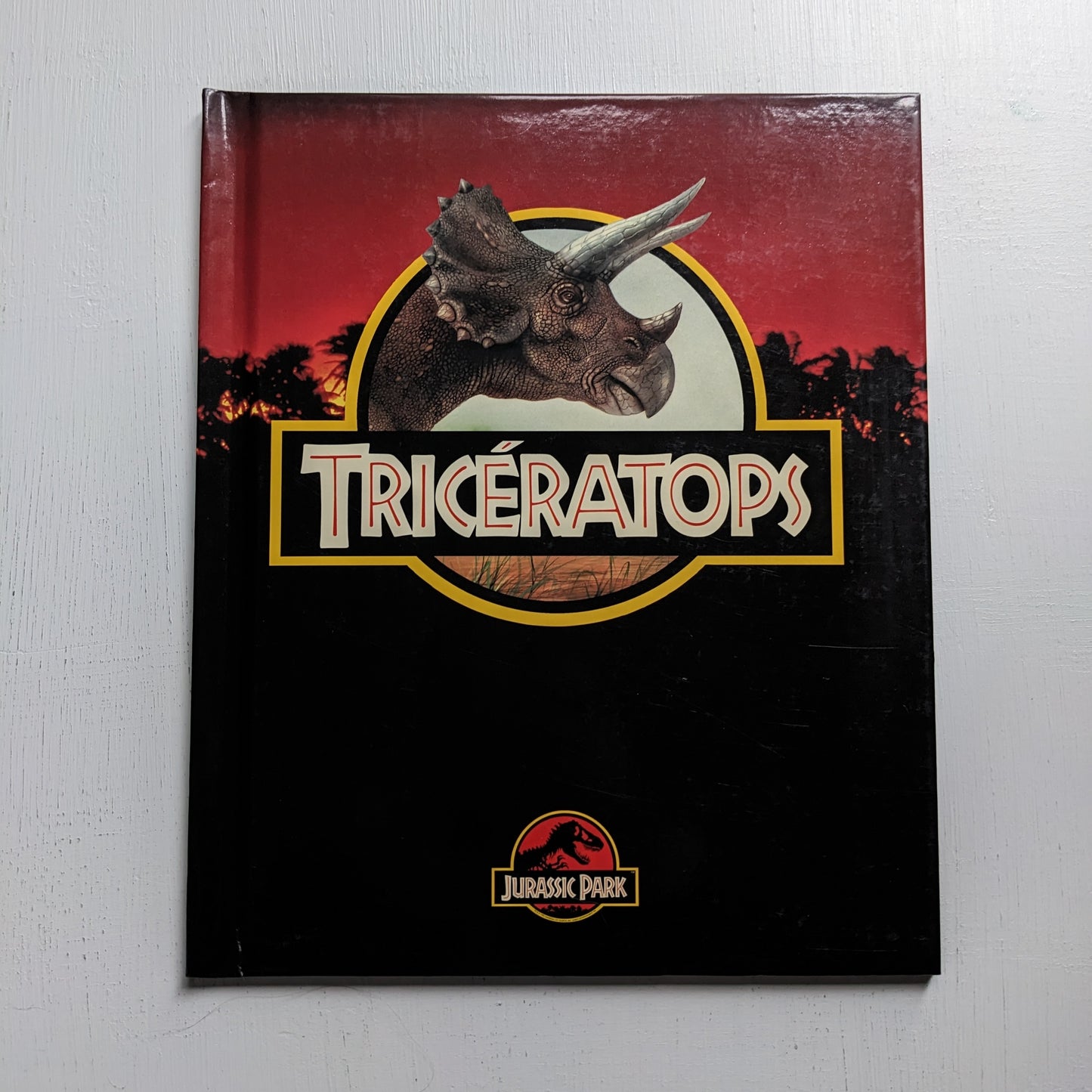 Jurassic Park : Tricératops (2)