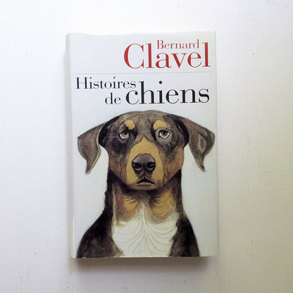 Histoires de chien