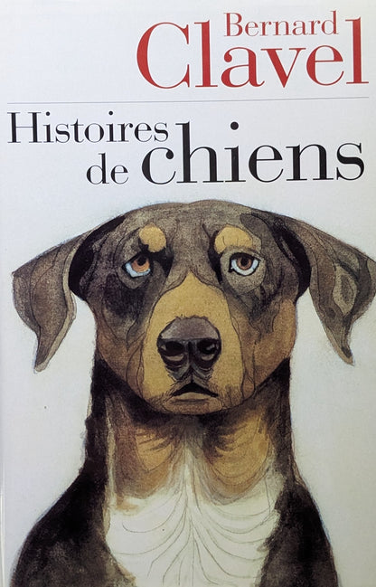 Histoires de chien