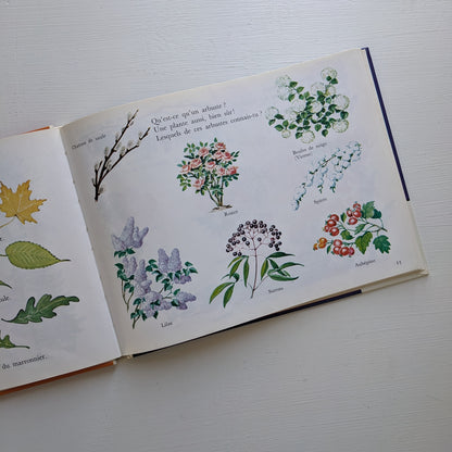 La joie d'apprendre : Mes premiers mots / Je découvre les plantes