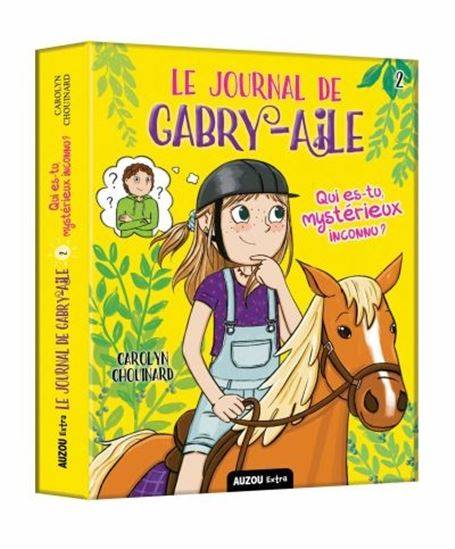 Le journal de Gabry-aile : #2 Qui es-tu mystérieux inconnu ? Librairie jeunesse le Zèbre à pois livre jeunesse, livre enfant, librairie jeunesse, librairie en ligne Librairie jeunesse le Zèbre à pois