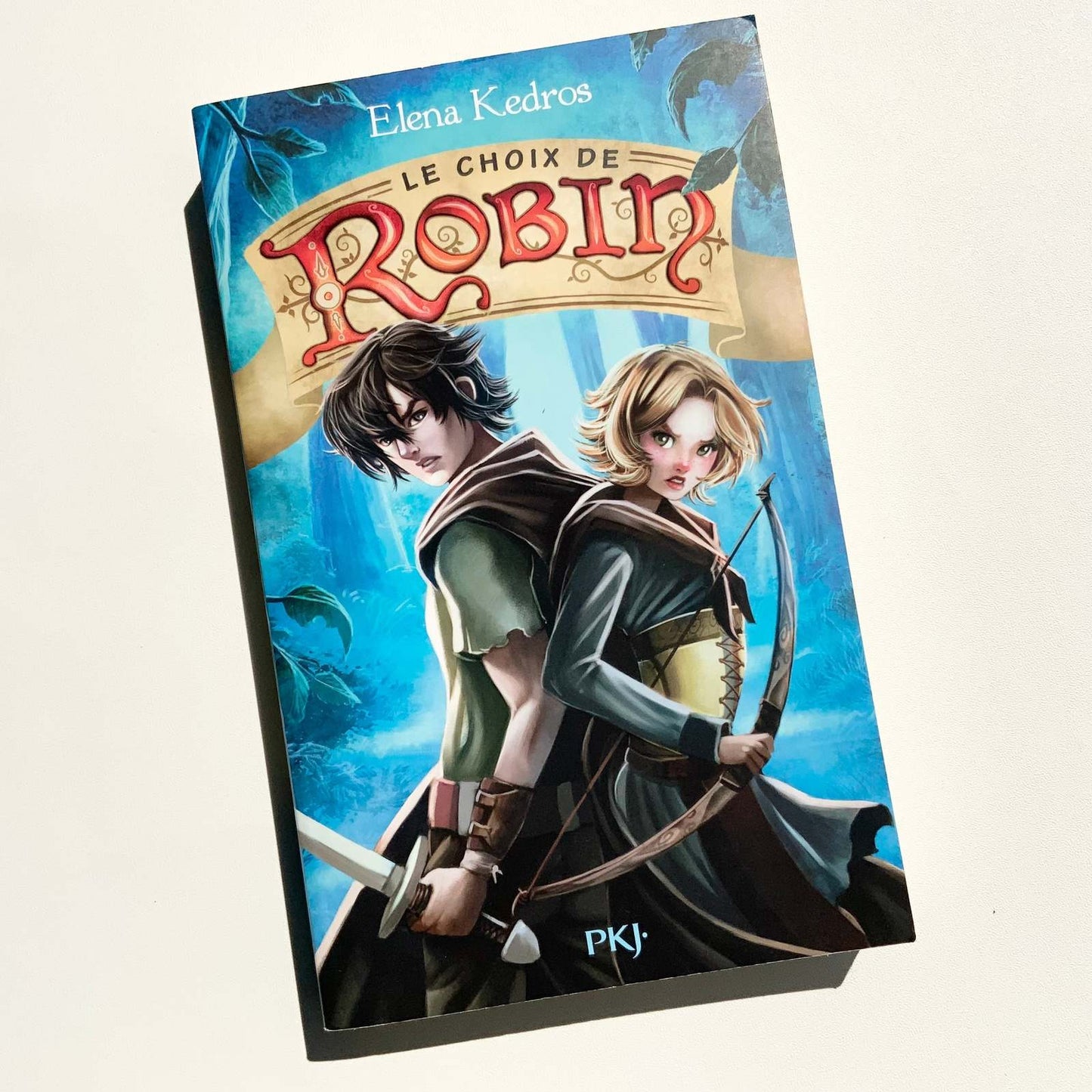 Le Choix de Robin #02 livre jeunesse, librairie jeunesse, le zèbre à pois